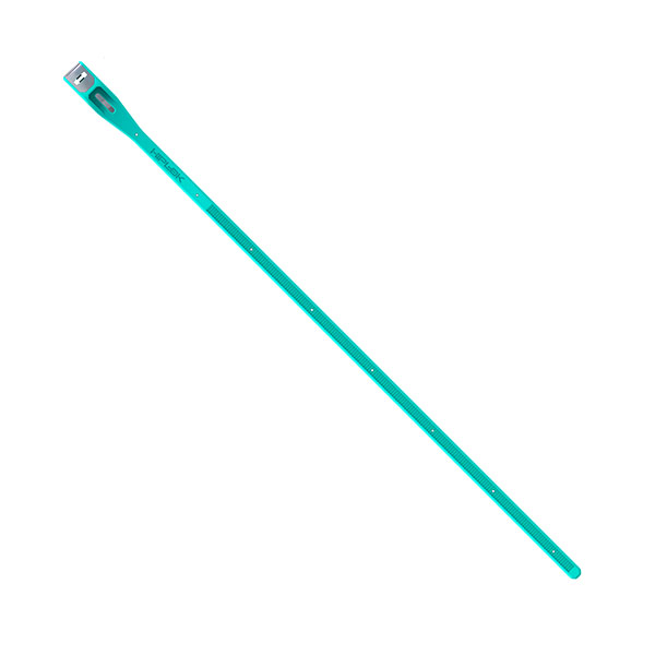4250019